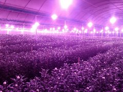 中科院“璀璨行動”照亮我國戰(zhàn)略性新興產業(yè)發(fā)展路徑