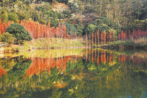 東莞榮膺“國家森林城市”稱號(hào)