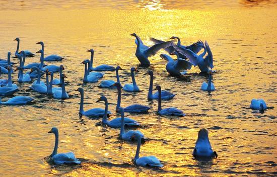 迅速崛起的國家級開發(fā)區(qū)--第十三屆全國重點網媒河北行走進曹妃甸