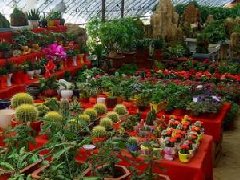 國務(wù)院關(guān)于同意在石家莊等24個城市設(shè)立  跨境電子商務(wù)綜合試驗(yàn)區(qū)的批復(fù)