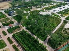 膠州、萊西獲選山東省省級現(xiàn)代農(nóng)業(yè)產(chǎn)業(yè)園建設(shè)主體