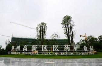 2020年瀘州高新區(qū)醫(yī)藥產業(yè)園力爭實現產值200億元