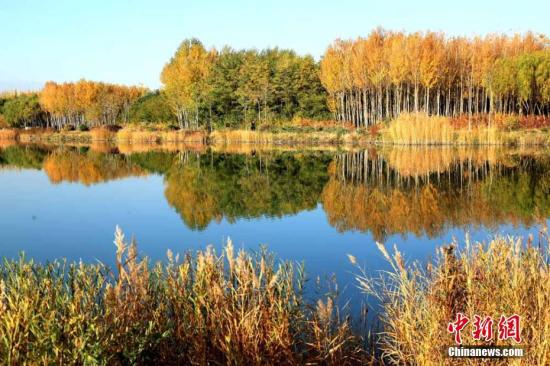 甘肅經(jīng)濟(jì)觸底求變：打好特色牌，多拿單打冠亞軍