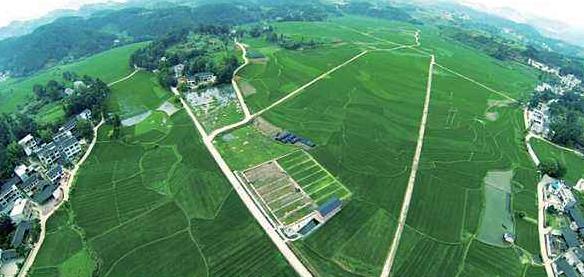 大健康事業是國家趨勢，現今走在前面的人，將是未來的主角！