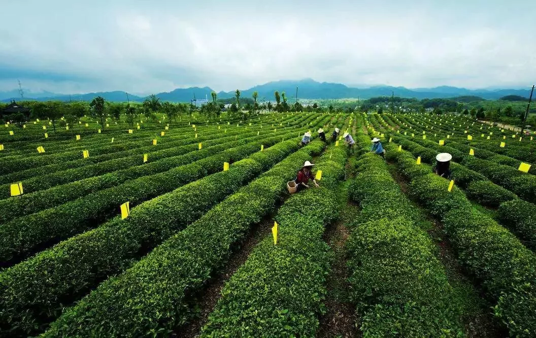 國家要重點(diǎn)建設(shè)1000個(gè)鄉(xiāng)村振興示范村鎮(zhèn)