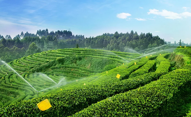 2019年國家先給錢后建設(shè)的4類農(nóng)業(yè)產(chǎn)業(yè)項(xiàng)目，最多補(bǔ)貼1個(gè)億