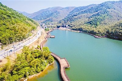 長三角實(shí)施鄉(xiāng)村振興戰(zhàn)略觀察