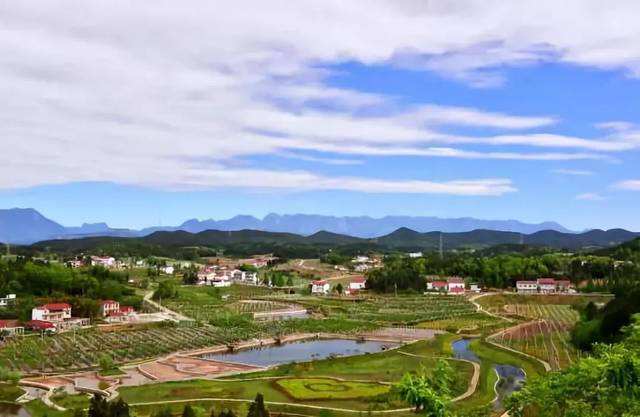 兩會最焦點丨系統(tǒng)梳理統(tǒng)籌謀局 全域推進(jìn)鄉(xiāng)村振興