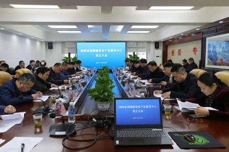 湘雁輸變電產(chǎn)業(yè)服務(wù)中心在長(zhǎng)沙成立,湖南輸變電產(chǎn)業(yè)開啟發(fā)展新篇章
