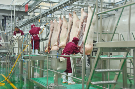 錦繡“五彩農(nóng)業(yè)”，高平市爭創(chuàng)國家 現(xiàn)代農(nóng)業(yè)產(chǎn)業(yè)園吹響集結(jié)號