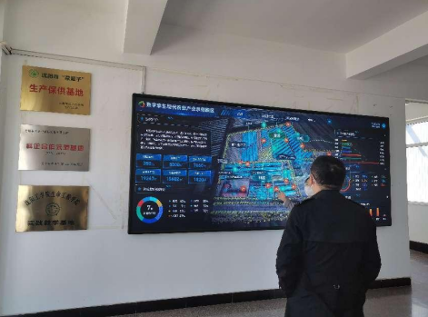 依托糧食和蔬菜兩大優(yōu)質(zhì)產(chǎn)業(yè),新民市向國(guó)家農(nóng)業(yè)現(xiàn)代化示范區(qū)邁進(jìn)