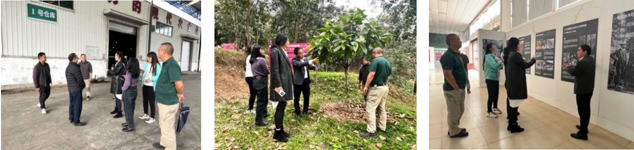 我院團(tuán)隊(duì)走入“中國天然橡膠第一縣”，與勐臘共赴國家現(xiàn)代農(nóng)業(yè)產(chǎn)業(yè)園建設(shè)之路
