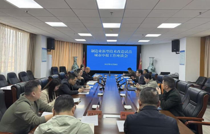 政策領(lǐng)航產(chǎn)業(yè)升級(jí)路徑 衡陽(yáng)繪就制造業(yè)技改新藍(lán)圖 ——中國(guó)高新院項(xiàng)目組赴衡